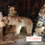 Le Grand Noël 2025 du château de Vaux-le-Vicomte : des décorations magiques pour une balade hivernale mémorable - fotor 1763143915975