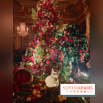 Le Grand Noël 2025 du château de Vaux-le-Vicomte : des décorations magiques pour une balade hivernale mémorable - fotor 1763143767663