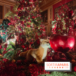 Le Grand Noël 2025 du château de Vaux-le-Vicomte : des décorations magiques pour une balade hivernale mémorable