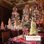 Le Grand Noël 2025 du château de Vaux-le-Vicomte : des décorations magiques pour une balade hivernale mémorable