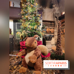 Le Grand Noël 2025 du château de Vaux-le-Vicomte : des décorations magiques pour une balade hivernale mémorable - fotor 1763143422476