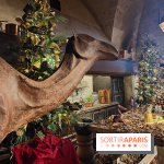 Le Grand Noël 2025 du château de Vaux-le-Vicomte : des décorations magiques pour une balade hivernale mémorable - fotor 1763143407321