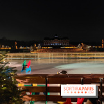 Le Grand Noël 2025 du château de Vaux-le-Vicomte : des décorations magiques pour une balade hivernale mémorable - fotor 1763143267766