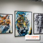 Le Festival Street-art de la Poste du Louvre 2025, les photos - A7C00826