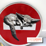 Salon des Bombasphères à Paris, nos photos - Salon des Bombasphères 13 fotor 20251118163134