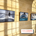 Les Peintres de la Marine : l’exposition dédiée à l’univers maritime à l’Espace Richaud à Versailles - IMG 1862