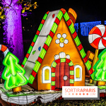 L'Odyssée Lumineuse au Parc Floral 2025, les photos
