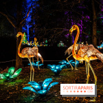 L'Odyssée Lumineuse au Parc Floral 2025, les photos