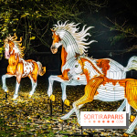 L'Odyssée Lumineuse au Parc Floral 2025, les photos - A7C01812