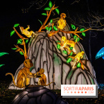 L'Odyssée Lumineuse au Parc Floral 2025, les photos