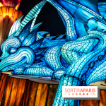 L'Odyssée Lumineuse au Parc Floral 2025, les photos - A7C01797