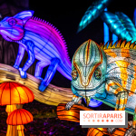 L'Odyssée Lumineuse au Parc Floral 2025, les photos