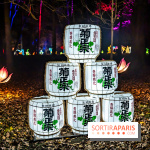 L'Odyssée Lumineuse au Parc Floral 2025, les photos - A7C01782