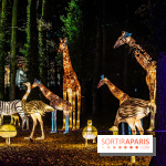 L'Odyssée Lumineuse au Parc Floral 2025, les photos