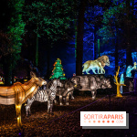 L'Odyssée Lumineuse au Parc Floral 2025, les photos