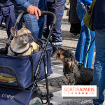 La Marche des animaux à Paris : défilé gratuit, ouvert aux chiens, chats ... sur les Champs-Élysées - IMG 5170