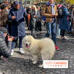 La Marche des animaux à Paris : défilé gratuit, ouvert aux chiens, chats ... sur les Champs-Élysées - IMG 5238