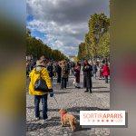 La Marche des animaux à Paris : défilé gratuit, ouvert aux chiens, chats ... sur les Champs-Élysées - IMG 5257