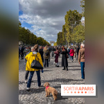 La Marche des animaux à Paris : défilé gratuit, ouvert aux chiens, chats ... sur les Champs-Élysées - IMG 5258