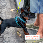 La Marche des animaux à Paris : défilé gratuit, ouvert aux chiens, chats ... sur les Champs-Élysées - IMG 5319