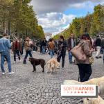 La Marche des animaux à Paris : défilé gratuit, ouvert aux chiens, chats ... sur les Champs-Élysées - IMG 5342