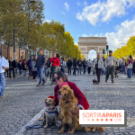 La Marche des animaux à Paris : défilé gratuit, ouvert aux chiens, chats ... sur les Champs-Élysées - IMG 5575