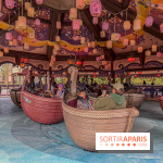 Raiponce Tangled Spin  - IMG 4609