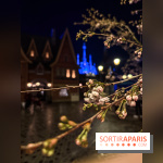 World of Frozen - nuit