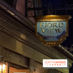 World of Frozen - fjord view shop nuit