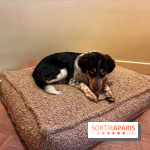 Brume Studio - IMG 1187