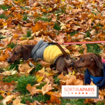 Paris Sausage Walk, la Marche des Teckels 2025