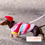 Paris Sausage Walk, la Marche des Teckels 2025