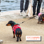 Paris Sausage Walk, la Marche des Teckels 2025