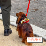 Paris Sausage Walk, la Marche des Teckels 2025 - IMG 1605