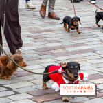 Paris Sausage Walk, la Marche des Teckels 2025