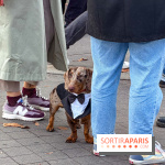 Paris Sausage Walk, la Marche des Teckels 2025