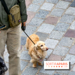 Paris Sausage Walk, la Marche des Teckels 2025