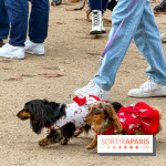 Paris Sausage Walk, la Marche des Teckels 2025