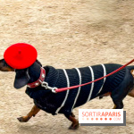Paris Sausage Walk, la Marche des Teckels 2025