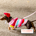 Paris Sausage Walk, la Marche des Teckels 2025