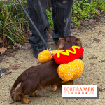 Paris Sausage Walk, la Marche des Teckels 2025