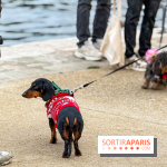 Paris Sausage Walk, la Marche des Teckels 2025