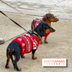 Paris Sausage Walk, la Marche des Teckels 2025