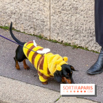 Paris Sausage Walk, la Marche des Teckels 2025