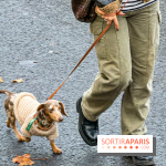 Paris Sausage Walk, la Marche des Teckels 2025