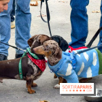 Paris Sausage Walk, la Marche des Teckels 2025
