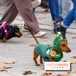 Paris Sausage Walk, la Marche des Teckels 2025