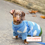 Paris Sausage Walk, la Marche des Teckels 2025