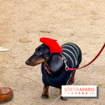 Paris Sausage Walk, la Marche des Teckels 2025