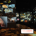 Dinosaures : l'expérience immersive qui nous fait remonter le temps à l'Atelier des Lumières, photos